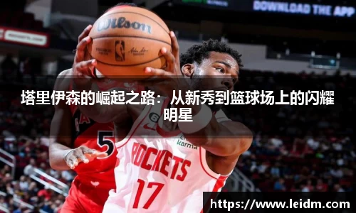 米兰体育官网
