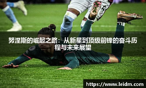 米兰体育官网